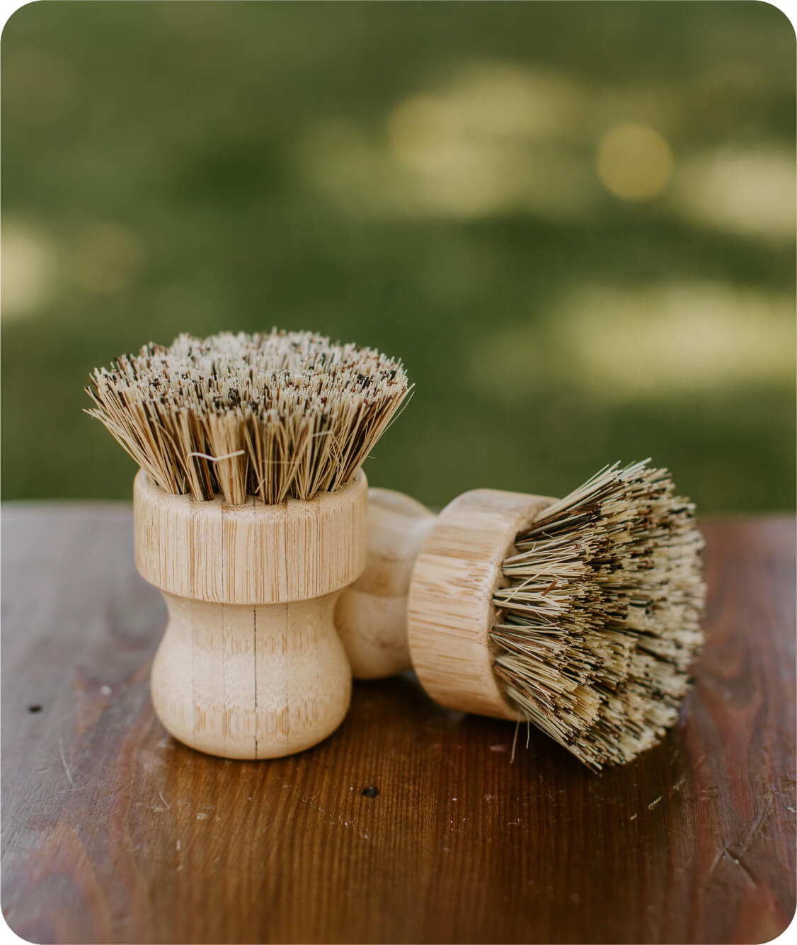 Goat Milk Dish Soap Set