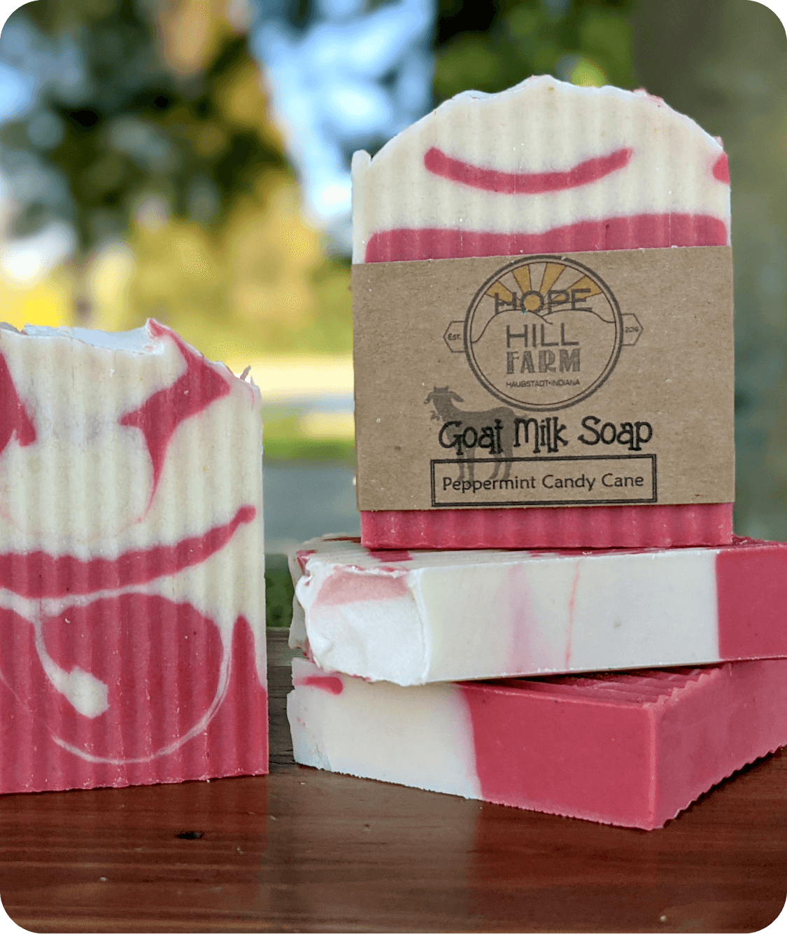 Peppermint Candy Cane Goat Milk Soap