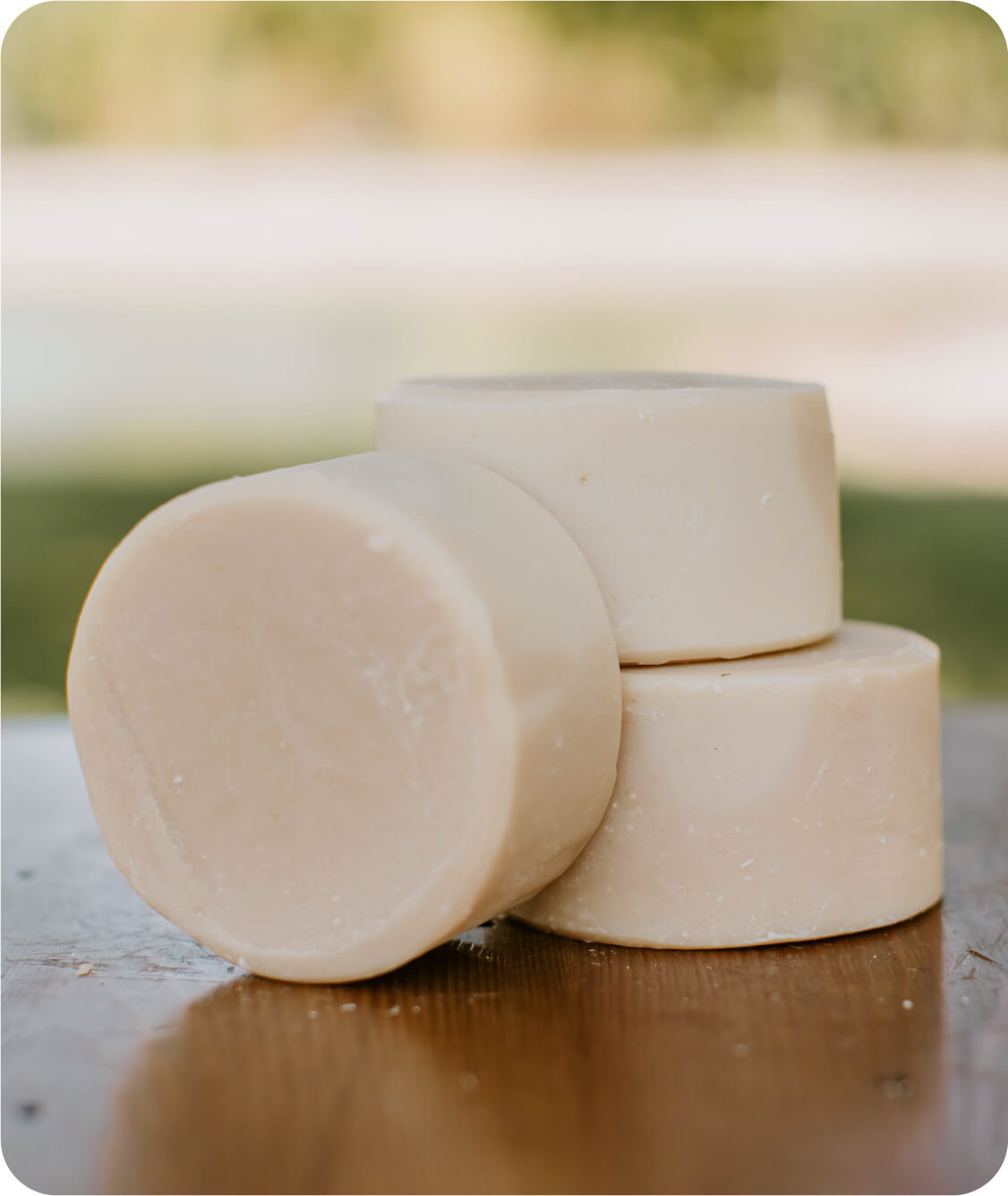 Shampoo + Body Bar Goat Milk Soap